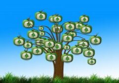 apple-money-tree-1920x1080