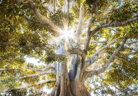 jeremy-bishop-ewkxn5capa4-unsplash-small