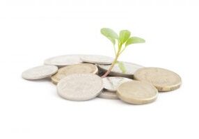 money-plant-new