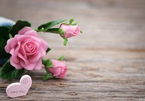 shallow-focus-photo-of-pink-ceramic-roses-1028707