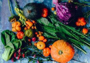 variety-of-vegetables-1458694